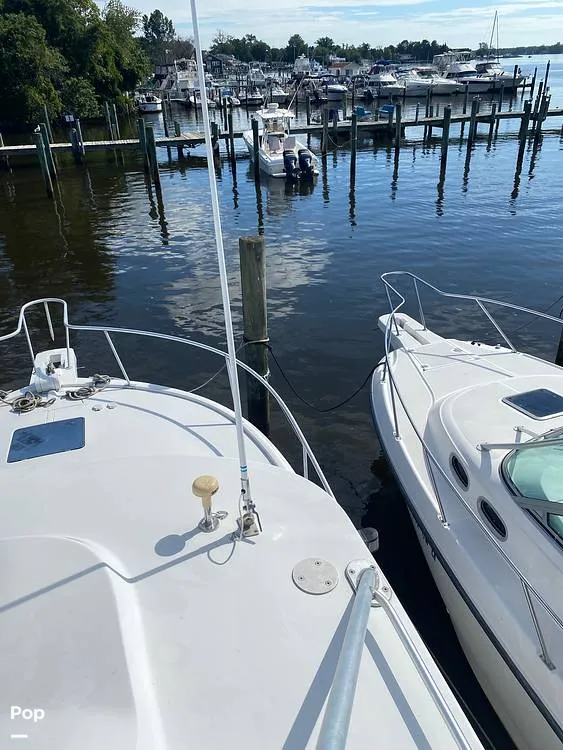 Slide: The Image of Luhrs 32 Open 1995 - 15900840