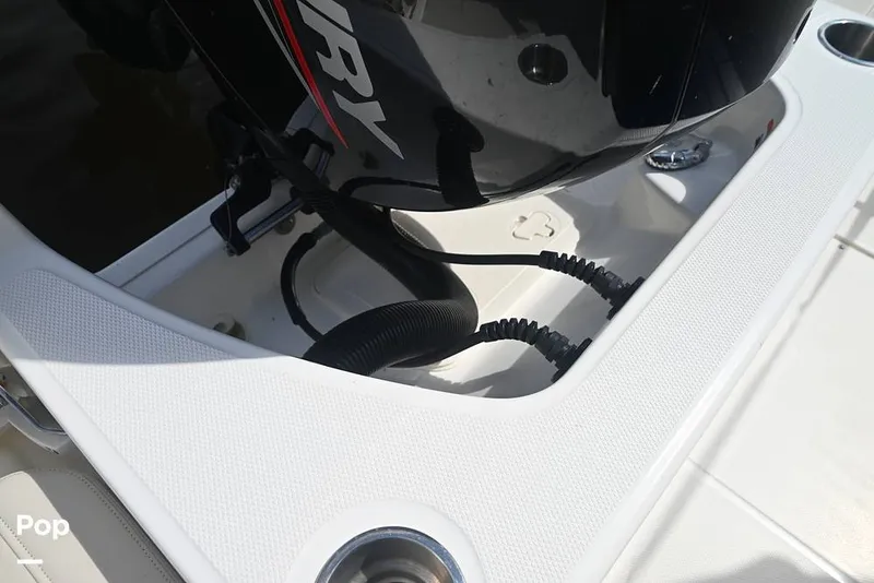 Slide: The Image of Boston Whaler 21 Montauk 2024 - 15858680