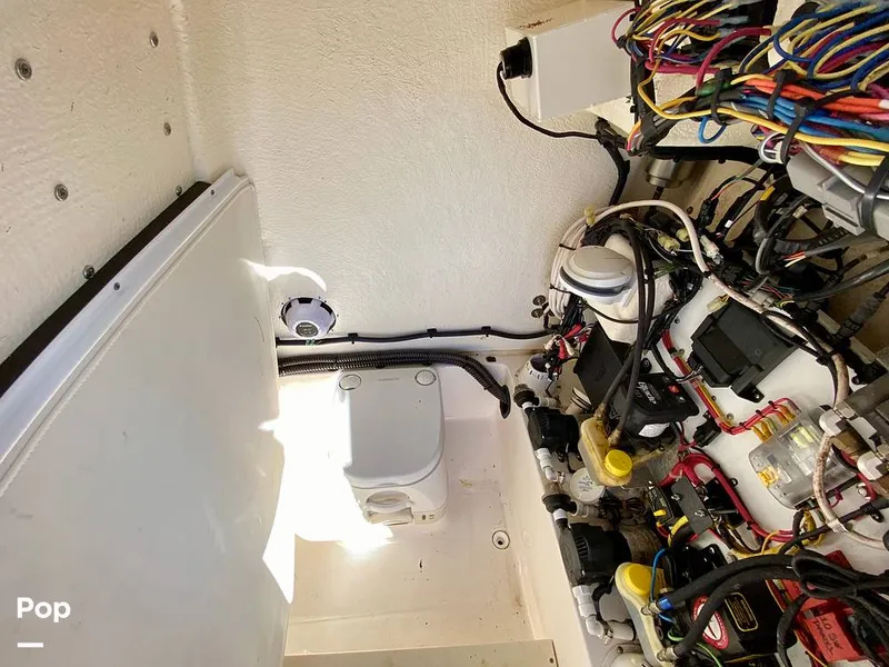 Slide: The Image of Sea Born FX25 Bay 2019 - 15974568