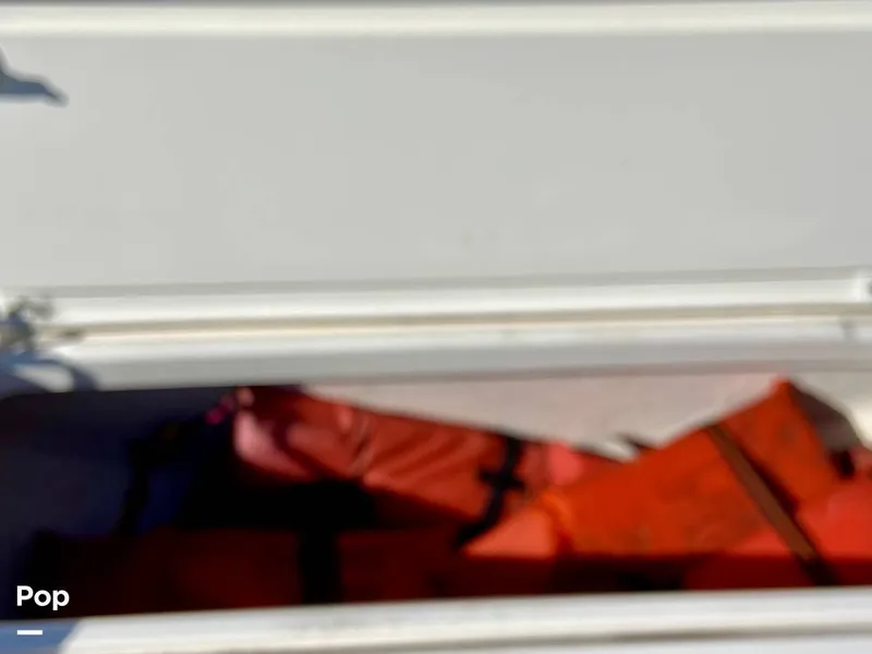 Slide: The Image of Sea Born FX25 Bay 2019 - 15974577