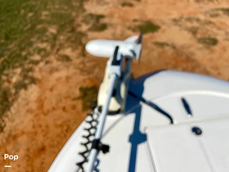 Slide: The Image of Sea Born FX25 Bay 2019 - 15974579