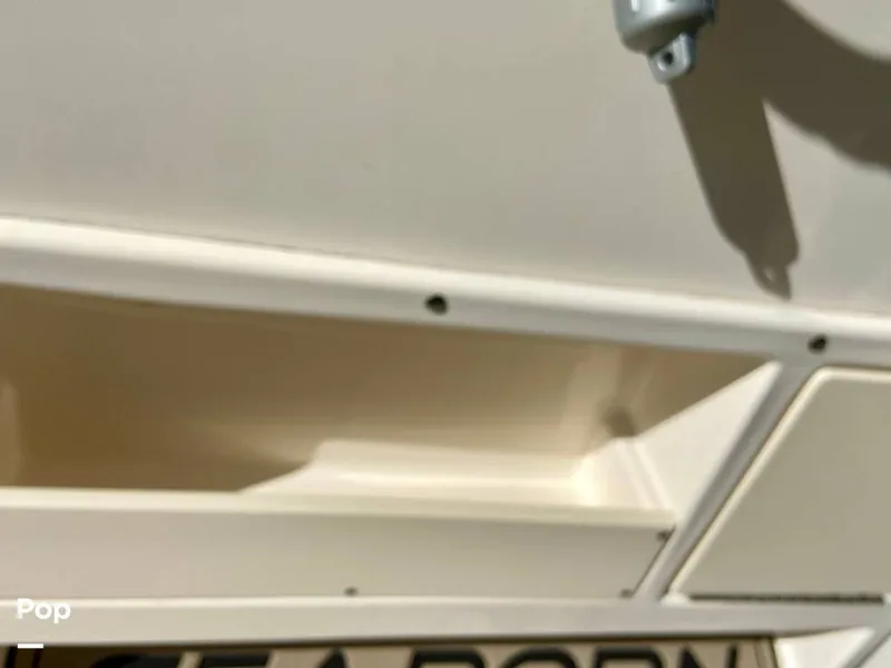 Slide: The Image of Sea Born FX25 Bay 2019 - 15974583