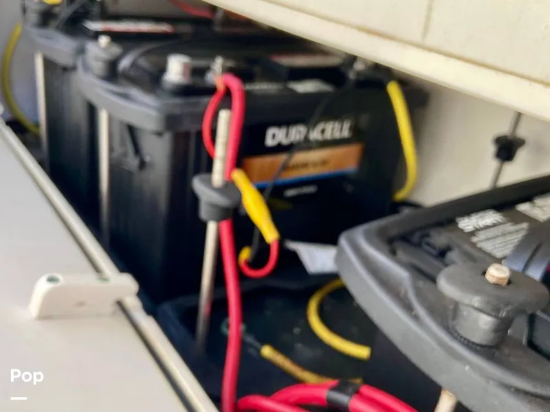 Slide: The Image of Sea Born FX25 Bay 2019 - 15974587