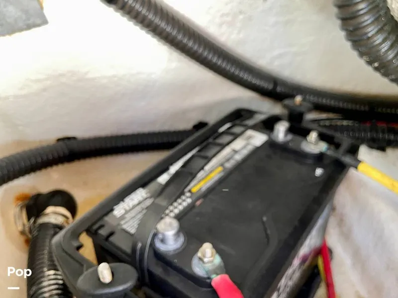 Slide: The Image of Sea Born FX25 Bay 2019 - 15974591