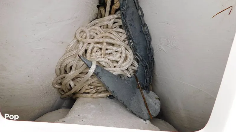 Slide: The Image of Sportsman Open 212 Platinum 2020 - 16220051