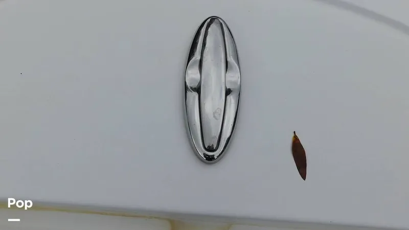 Slide: The Image of Sportsman Open 212 Platinum 2020 - 16220052