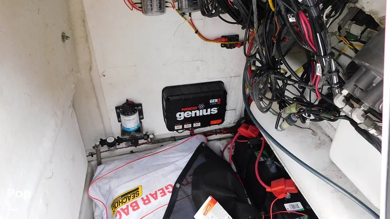 Slide: The Image of Sportsman Open 212 Platinum 2020 - 16220080