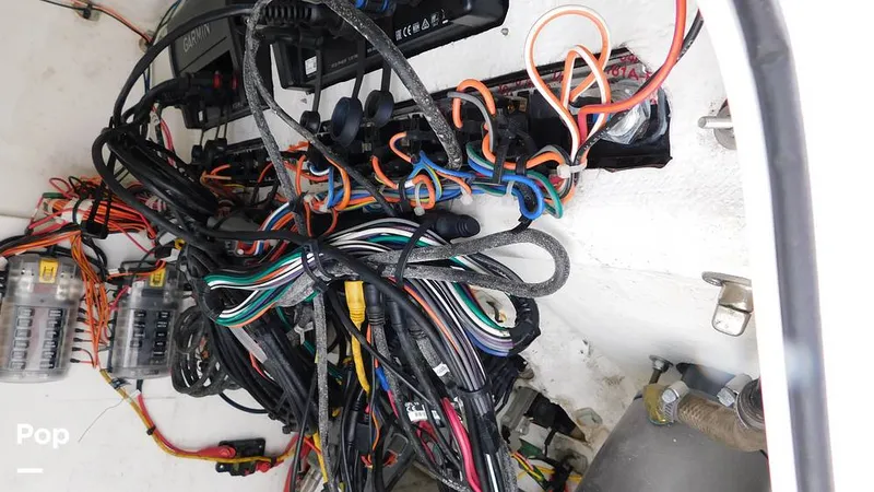 Slide: The Image of Sportsman Open 212 Platinum 2020 - 16220081