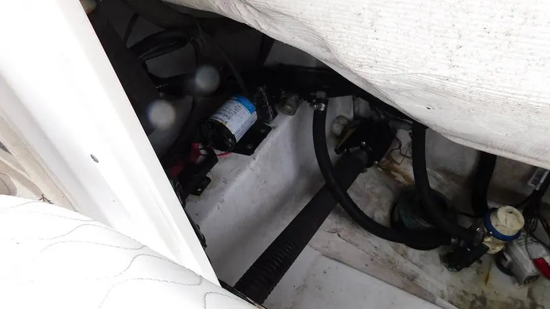 Slide: The Image of Sportsman Open 212 Platinum 2020 - 16220087