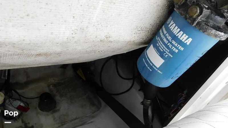 Slide: The Image of Sportsman Open 212 Platinum 2020 - 16220088