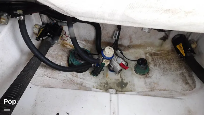 Slide: The Image of Sportsman Open 212 Platinum 2020 - 16220089