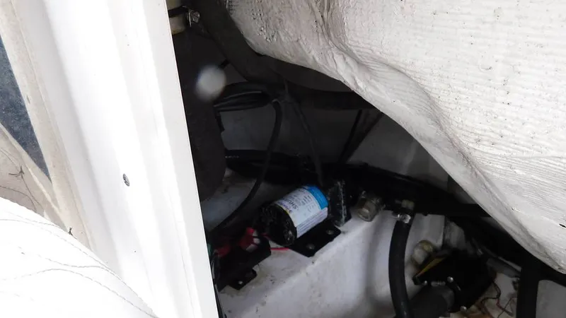 Slide: The Image of Sportsman Open 212 Platinum 2020 - 16220090