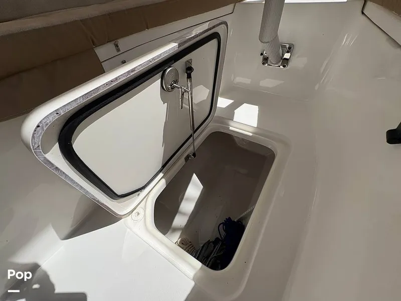 Slide: The Image of Sea Pro 240 DLX 2025 - 15949072