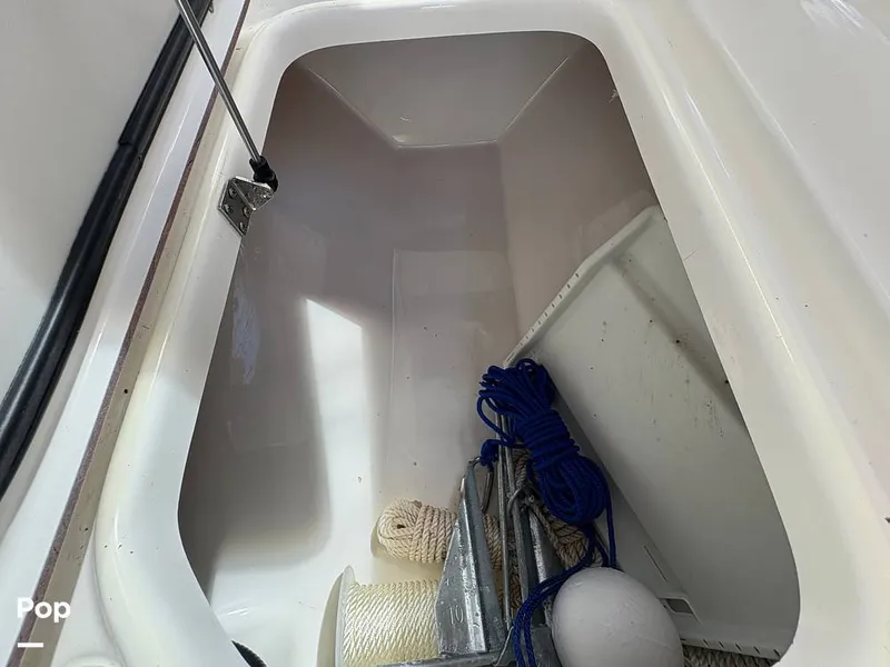 Slide: The Image of Sea Pro 240 DLX 2025 - 15949114