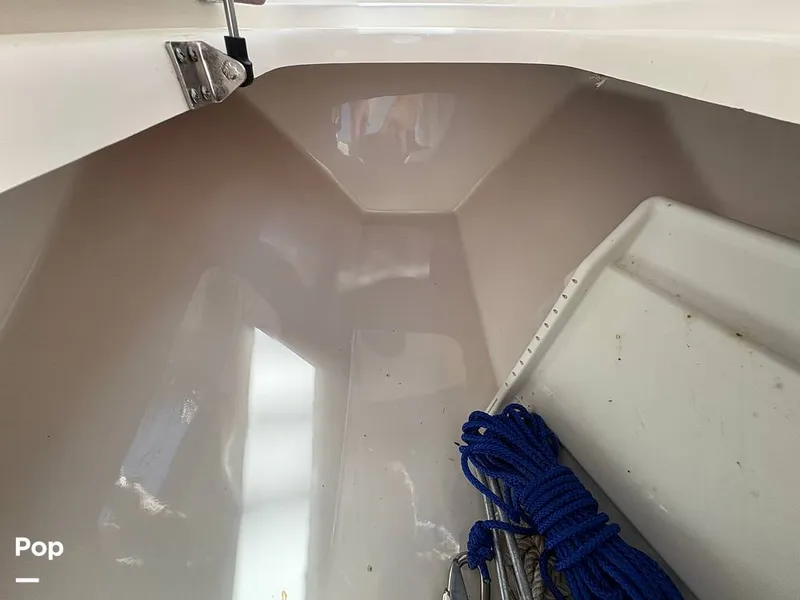 Slide: The Image of Sea Pro 240 DLX 2025 - 15949119