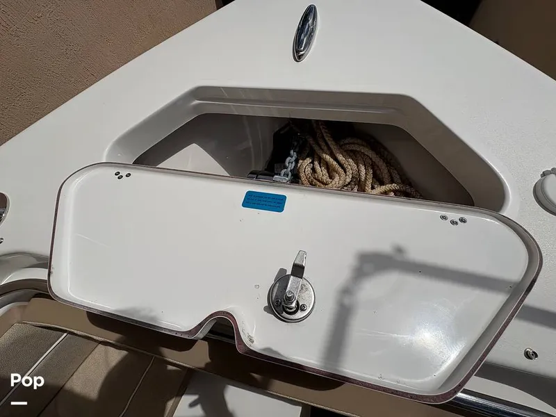 Slide: The Image of Sea Pro 240 DLX 2025 - 15949121