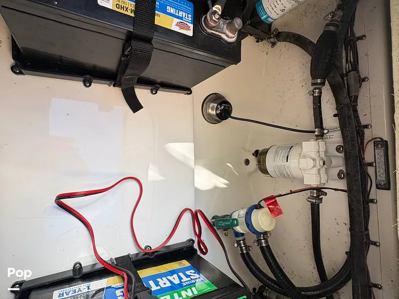 Slide: The Image of Sea Pro 240 DLX 2025 - 15909846