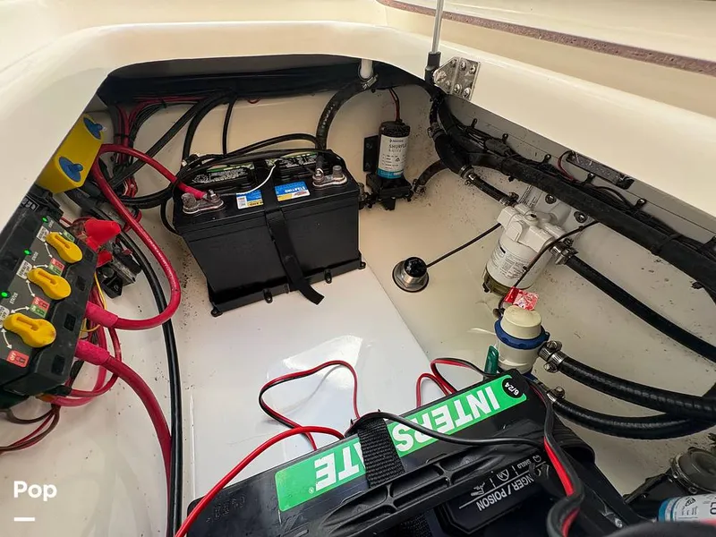 Slide: The Image of Sea Pro 240 DLX 2025 - 15909844