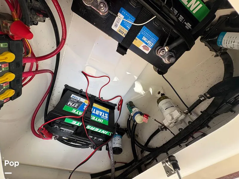 Slide: The Image of Sea Pro 240 DLX 2025 - 15909843