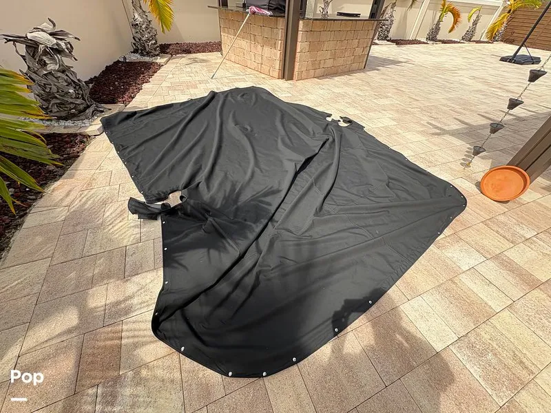 Slide: The Image of Sea Pro 240 DLX 2025 - 15909845