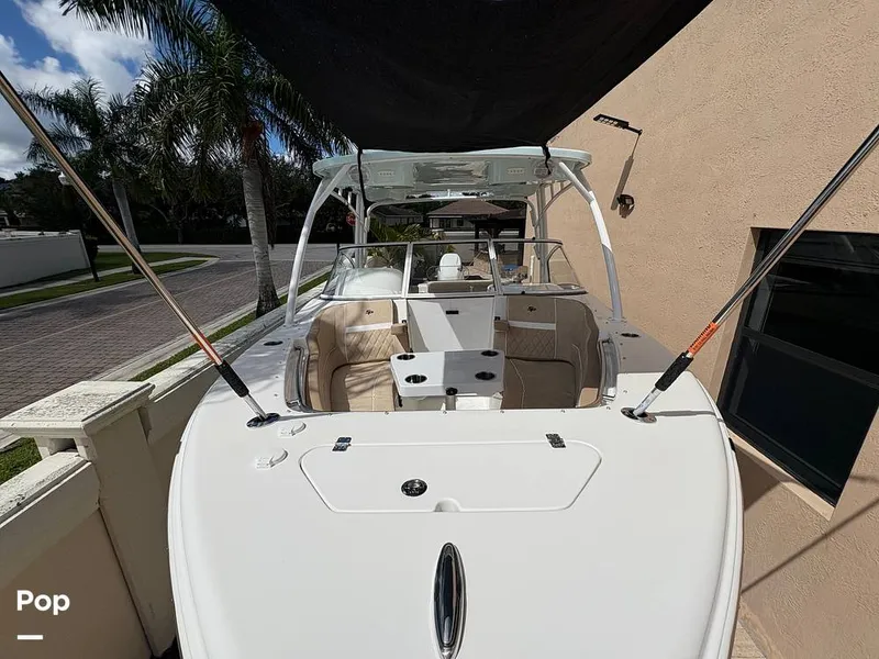 Slide: The Image of Sea Pro 240 DLX 2025 - 15949023