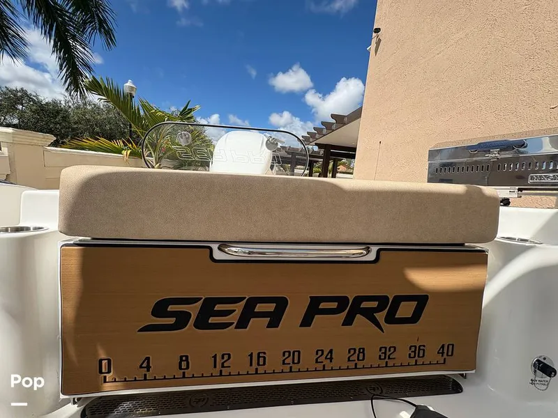 Slide: The Image of Sea Pro 240 DLX 2025 - 15909841