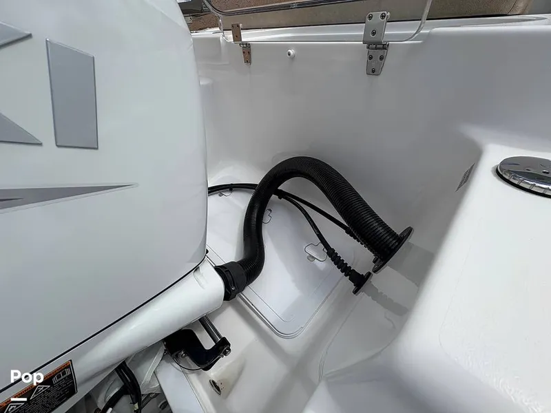 Slide: The Image of Sea Pro 240 DLX 2025 - 15949131