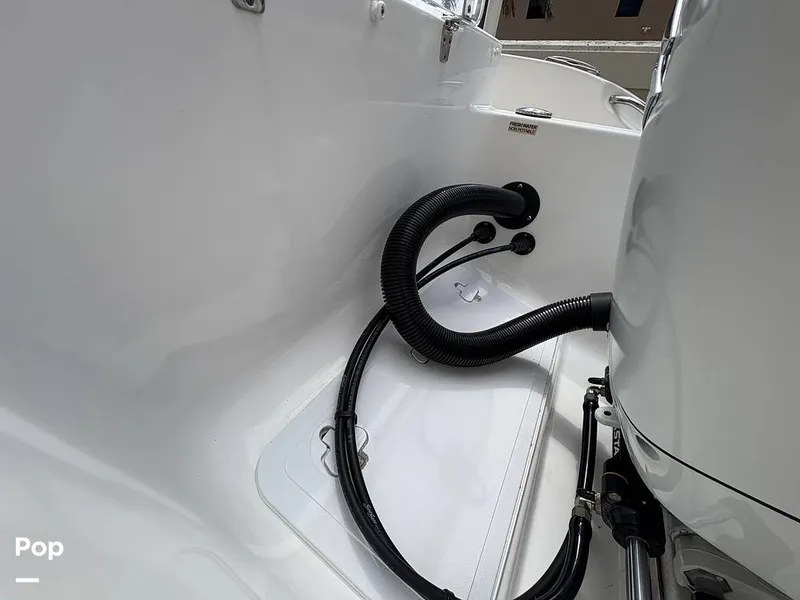 Slide: The Image of Sea Pro 240 DLX 2025 - 15949130