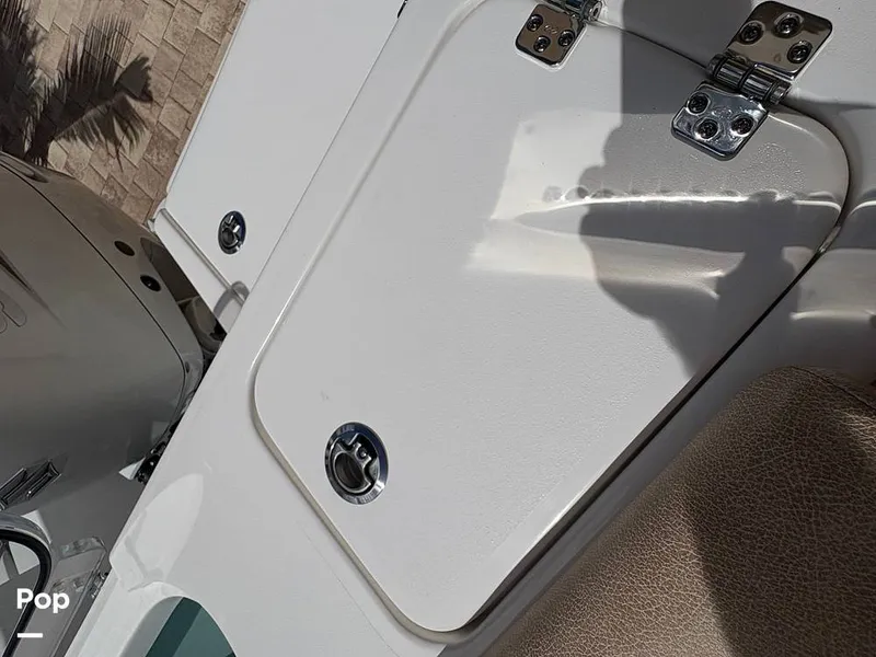 Slide: The Image of Sea Pro 240 DLX 2025 - 15949134