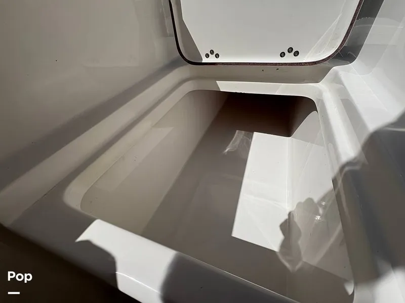 Slide: The Image of Sea Pro 240 DLX 2025 - 15909849