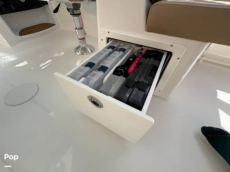 Slide: The Image of Sea Pro 240 DLX 2025 - 15909877