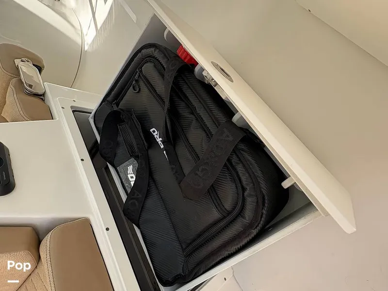 Slide: The Image of Sea Pro 240 DLX 2025 - 15949132