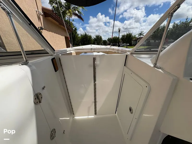 Slide: The Image of Sea Pro 240 DLX 2025 - 15949041