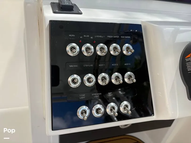 Slide: The Image of Sea Pro 240 DLX 2025 - 15949052