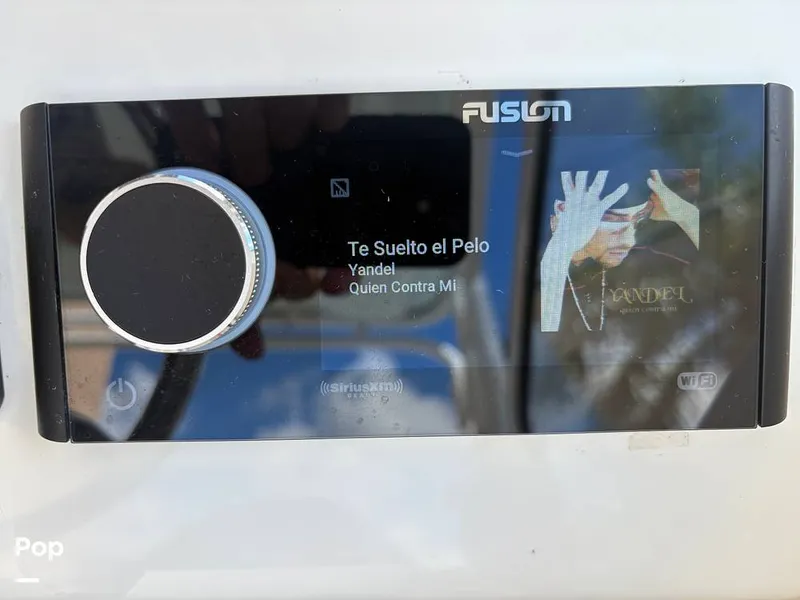 Slide: The Image of Sea Pro 240 DLX 2025 - 15949059