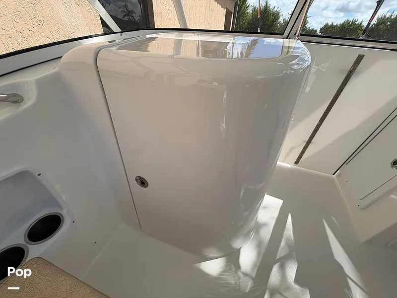 Slide: The Image of Sea Pro 240 DLX 2025 - 15949043