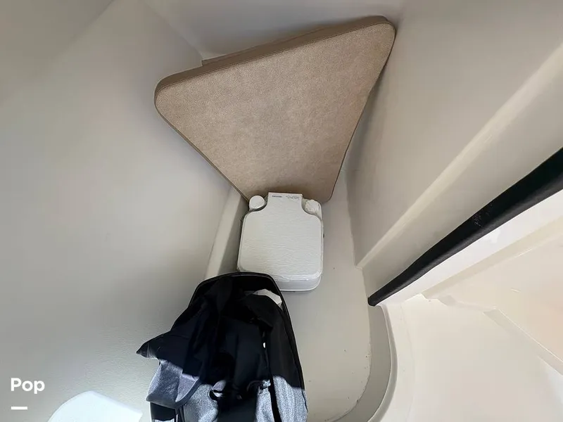 Slide: The Image of Sea Pro 240 DLX 2025 - 15949065