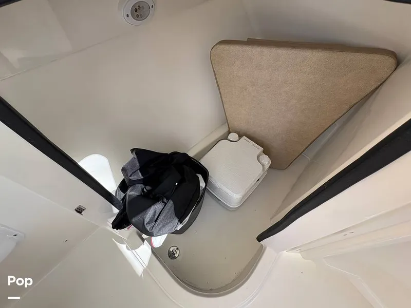 Slide: The Image of Sea Pro 240 DLX 2025 - 15949063