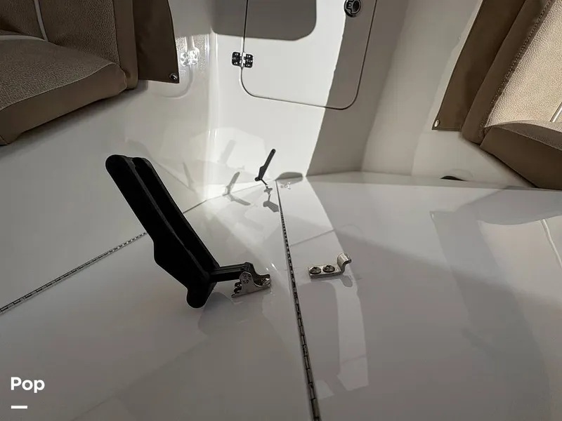 Slide: The Image of Sea Pro 240 DLX 2025 - 15949069