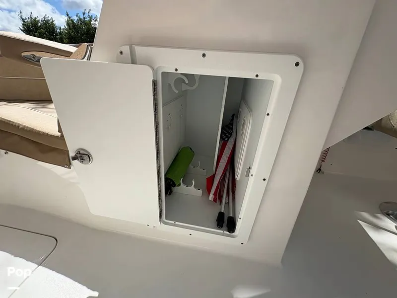 Slide: The Image of Sea Pro 240 DLX 2025 - 15949074