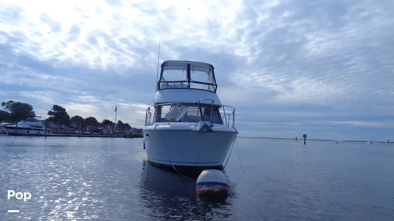 Slide: The Image of Carver Yachts 300 Aft Cabin 1992 - 15894513