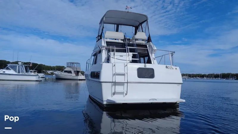 Slide: The Image of Carver Yachts 300 Aft Cabin 1992 - 15894507