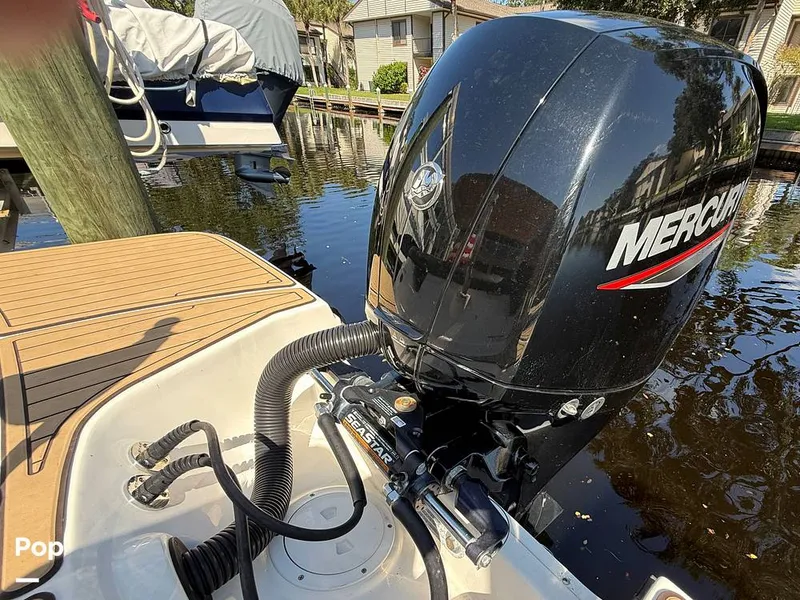 Slide: The Image of Sea Ray SPX190 OB 2021 - 15874724