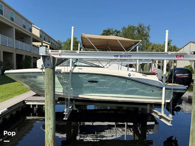 Slide: The Image of Sea Ray SPX190 OB 2021 - 15874641