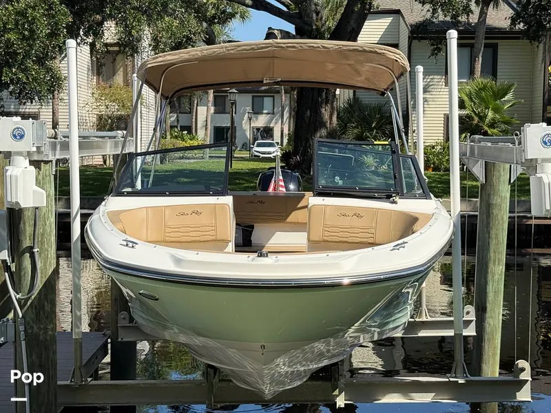 Slide: The Image of Sea Ray SPX190 OB 2021 - 15874643