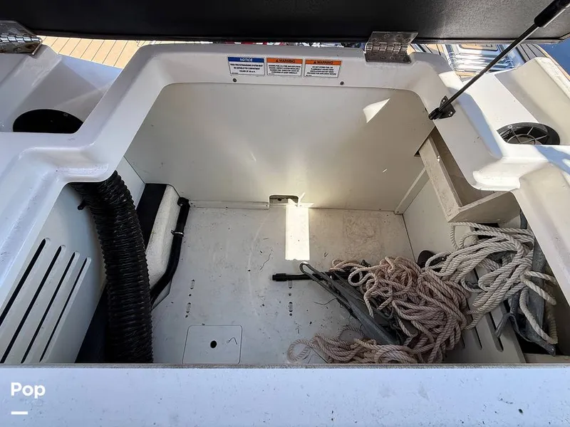 Slide: The Image of Sea Ray SPX190 OB 2021 - 15874660