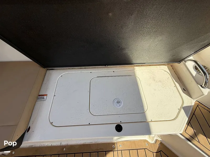 Slide: The Image of Sea Ray SPX190 OB 2021 - 15874663