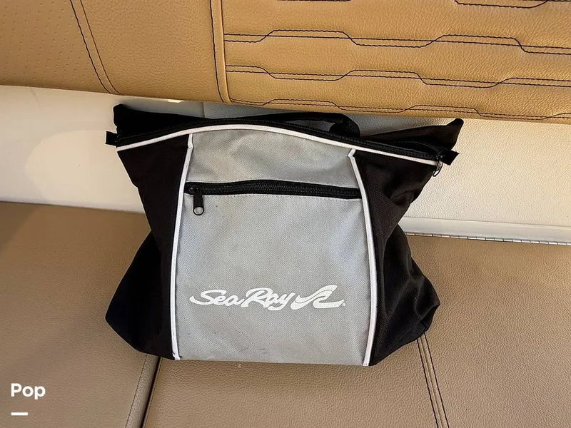 Slide: The Image of Sea Ray SPX190 OB 2021 - 15874654