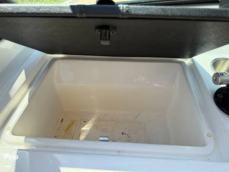 Slide: The Image of Sea Ray SPX190 OB 2021 - 15874674