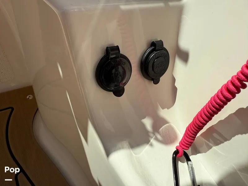 Slide: The Image of Sea Ray SPX190 OB 2021 - 15874682